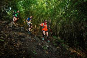 BIB: 
                            <button type="button" onclick="openModal(25089244)" class="btn btn-primary btn-sm float-right btn-popup" data-toggle="modal" data-target=".modal-high-quality">
                        <i class="fas fa-shopping-cart"></i> Add to Cart
                    </button>
                                            <button type="button" onclick="isThisMe(25089244, true)" class="btn btn-success btn-sm float-right btn-popup btn-isme hidden" data-toggle="tooltip" data-placement="bottom" title="นี่คือรูปของคุณใช่ไหม คลิกที่นี่เพื่อเอาเข้าอัลบั้ม">
                        <i class="fas fa-plus"></i> Add to album
                    </button>
                    <button type="button" onclick="isThisMe(25089244, false)" class="btn btn-warning btn-sm float-right btn-popup btn-isnotme hidden">
                        <i class="fas fa-ban"></i> Remove from album
                    </button>